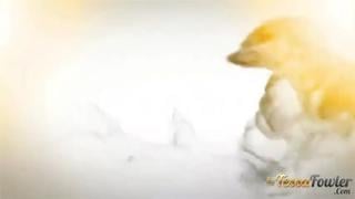 Сестренка с огромной грудью примеряет обтягивающую одежду, пока родителей нет дома, эротика, инцест, сиськи