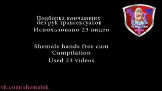 Shemale free hand cum compilation
