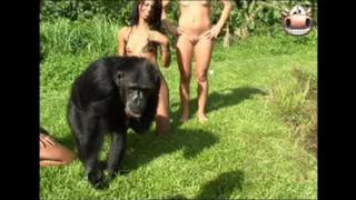 Mulher melao mostra tudo em praia de nudismo! | brazilian girls ...
