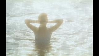 Laura, les ombres de lete [лора] (1979) (русский язык)