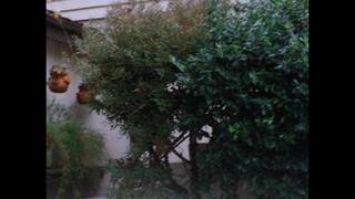 Taboo Three ( 1984) ( с переводом) в ролях Angel West , Brennan , Honey Hornier , Kay Parker , Kristara Barrington , Lisa Lake , Mi