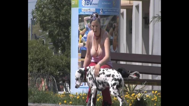 Frivolous dres order the dog