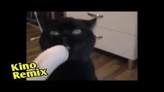 Мультфильм для взрослых 18 + каникулы в простоквашино kino remix супер кот