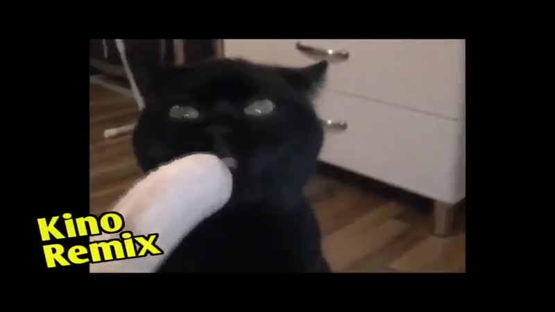 Мультфильм для взрослых 18 + каникулы в простоквашино kino remix супер кот