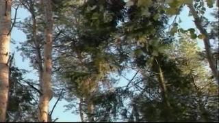 Групповушки в деревушке (группа порно фильмы с сюжетом ~ porn)