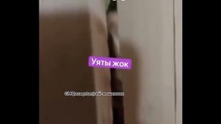 Коуч братан!