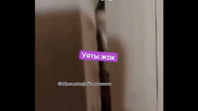 Коуч братан!