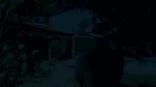 Wowgirls gina gerson (spread your wings) порно как развести девушку на секс, минет