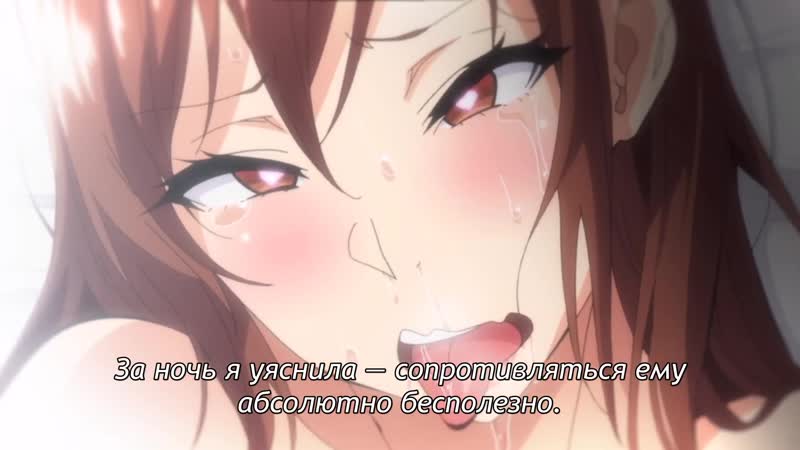 Ночное цветение подсолнухов