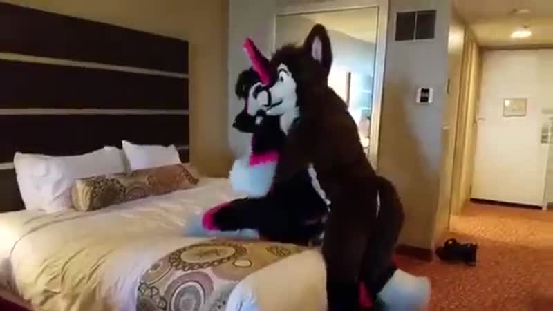 Gay porn mursuiting time