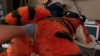 Porn gay dream 29