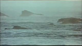 Сок должен вытекать / der saft muss raus (1976) | порно