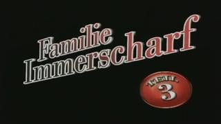 Семья иммершарф 3 белые вуали и твердые яйца / familie immerscharf 3 weisse schleier und harte eier (1996) | порно