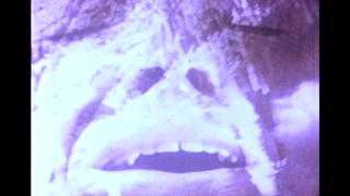 Multiple orgasm (1976) dir barbara hammer