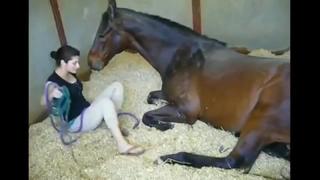 3 chicks with dogs enjoy bond , chicks and pets beyond friendship and enjoy must witness