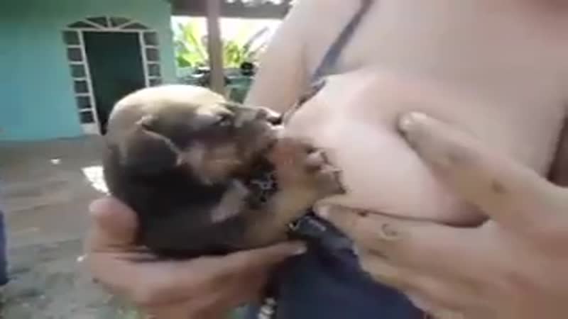 Женщина кормит грудью щенка