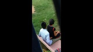 الجنس الأوزبكي والأوزبكي باركداجي