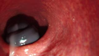 The Camera Inside The Pussy, The End Of The Close -up (hidden Camera) Porn, Incest, Blowjob, Milfs, Lesbians 