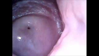 [ ] Web Cam In Facehole Snatch And Porn Rump Close Up