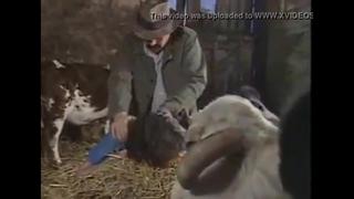 Köyün Agası Yanında çalıştırdıgı Kadını Zorla Götten Sikiyor