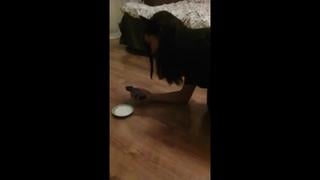 Drunk Crush Is Fucked On A Brink (periscope, Sex, Porn, Students, Erotica, Young) 