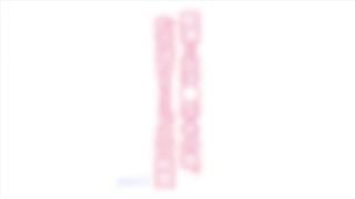 Растление, ставшее заядлой гипер эротической любовью 2{хентай}