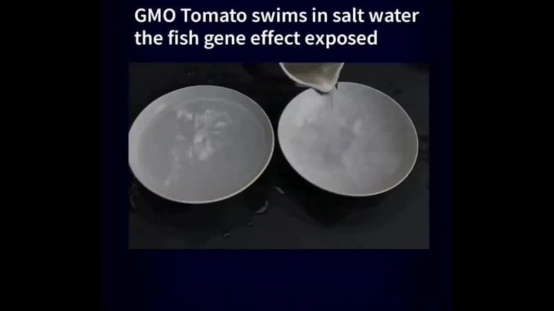 Гмо помидор плавает как рыба в солёной воде!
    интересно какой ген добавлен?