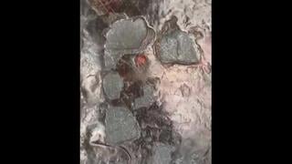 Hajr e aswad in makkah shareef ہجرے اسود شریف مکہ کے اندر موجود ہے۔