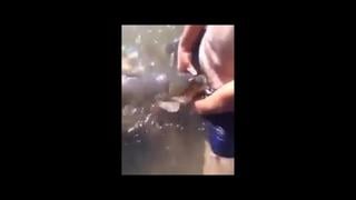 Рыболов трахает карпа на выходных)) только 18+