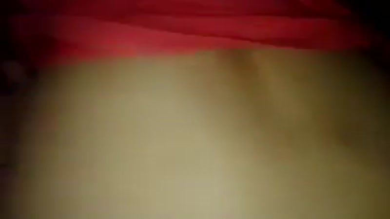 Арман жанадил