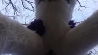 Fursuit Porn #1