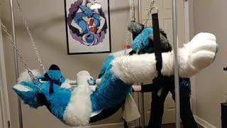 Fursuit porn #11