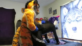 Fursuit porn #12