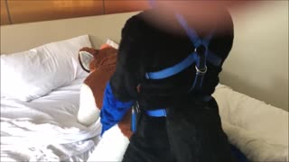 Fursuit porn #13