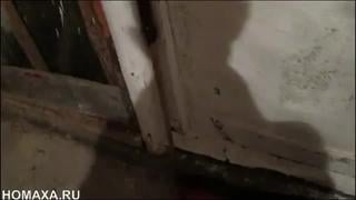 Drunk Whore Porn Drunk Sex Tin 