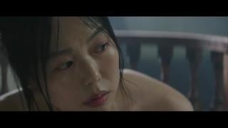 The handmaiden hizmetçi 2016