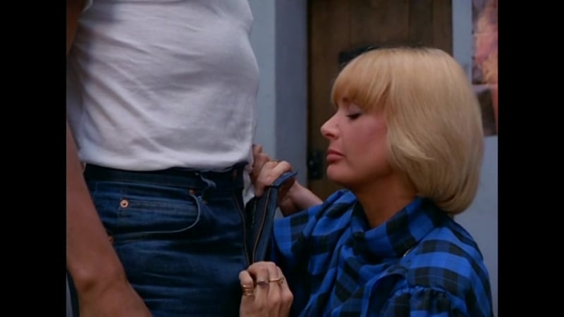 Hotesse tres speciale очень специальная хозяйка [1983]