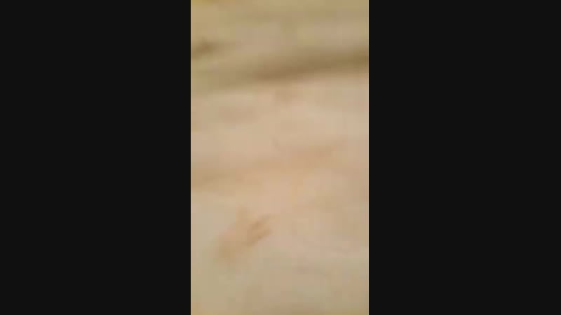 Sevgili türk turk turkish #gizlii̇fşa #ifşa #liselii̇fşa #olguni̇fşa #periscopei̇fşa #türbanlıi̇fşa #türki̇fşa #türkçei̇fşa