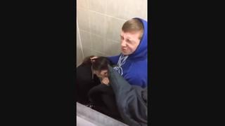 Выебал в школьном туалете одноклассницу (порно, минет сосёт, скрытое, в туалете, девственница, секс, частное, студентка,хд)