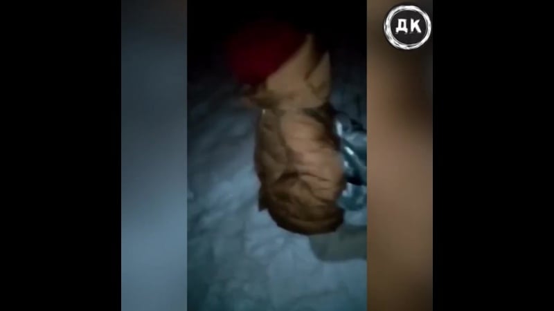 Porn Picture