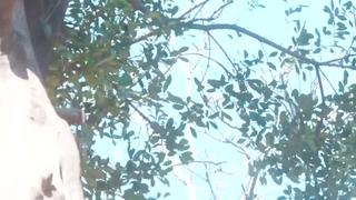 Matsumoto ichika [javcube r18 японское порно, new japan asian porno juq 007 c