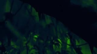 Tarzan and Milo gay porn cartoon 