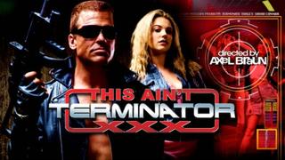 This ain't the terminator xxx parody / 2013