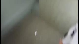 Received 1575753562561846 Mp4