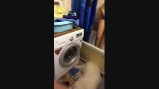 SHRU in the periscope (young girl Anal Brazers) 