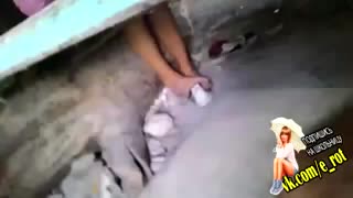 Школьница проиграла в карты на раздевани заброшке (240p) mp4