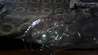 Купил надувную прозрачную куклу и кончил в нее