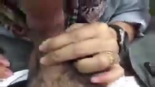 Azgın türbanlı saksosu
