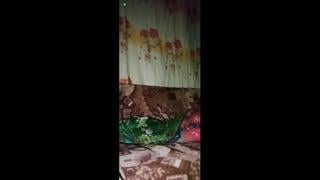 Uzbek Is Masturbating 