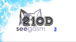 Seegasm 210d